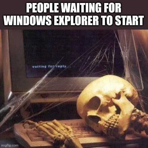 Skeleton by computer | PEOPLE WAITING FOR WINDOWS EXPLORER TO START | image tagged in dead skeleton | made w/ Imgflip meme maker