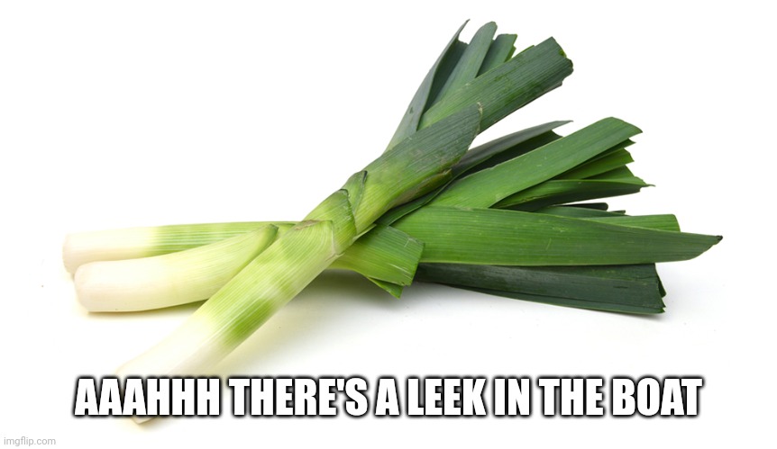 Leeks | AAAHHH THERE'S A LEEK IN THE BOAT | image tagged in leeks | made w/ Imgflip meme maker