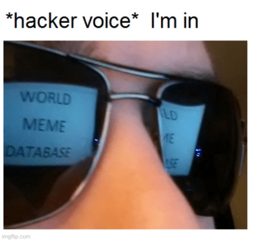High Quality hacker voice im in Blank Meme Template