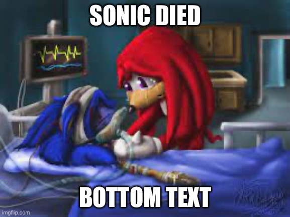 Sonic hospital bed | SONIC DIED; BOTTOM TEXT | image tagged in sonic hospital bed,sonic the hedgehog,knuckles,bottom text | made w/ Imgflip meme maker