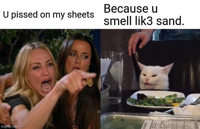 Woman Yelling At Cat | U pissed on my sheets; Because u smell lik3 sand. | image tagged in memes,woman yelling at cat | made w/ Imgflip meme maker