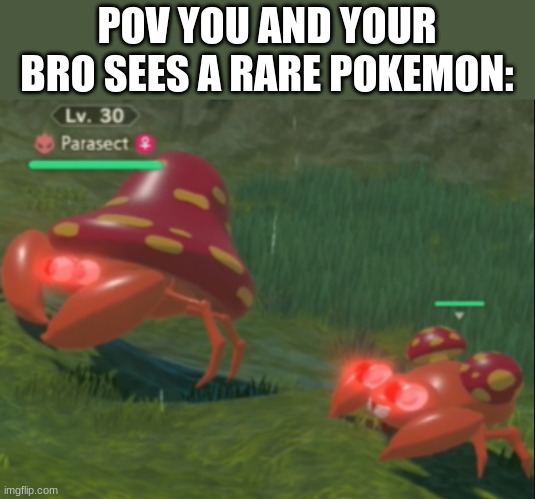 rare pokemon | POV YOU AND YOUR BRO SEES A RARE POKEMON: | image tagged in alpha paras and alpha parasect see something | made w/ Imgflip meme maker