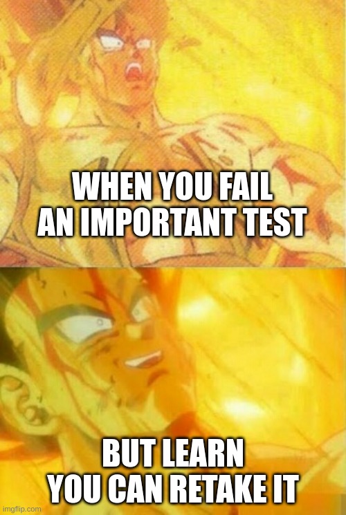 Chance At Redeeming Yourself | WHEN YOU FAIL AN IMPORTANT TEST; BUT LEARN YOU CAN RETAKE IT | image tagged in goku's dad | made w/ Imgflip meme maker