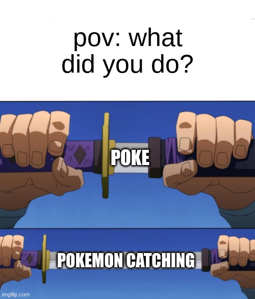 what did you do? | pov: what did you do? POKE; POKEMON CATCHING | image tagged in unsheathing sword | made w/ Imgflip meme maker