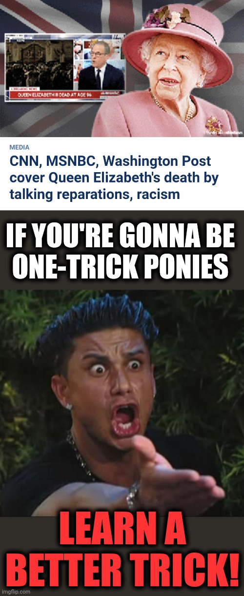 One-trick ponies | IF YOU'RE GONNA BE
ONE-TRICK PONIES; LEARN A BETTER TRICK! | image tagged in memes,dj pauly d,queen elizabeth,msnbc,cnn,racism | made w/ Imgflip meme maker
