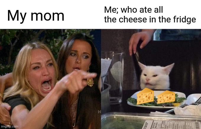 Woman Yelling At Cat | Me; who ate all the cheese in the fridge; My mom | image tagged in memes,woman yelling at cat | made w/ Imgflip meme maker