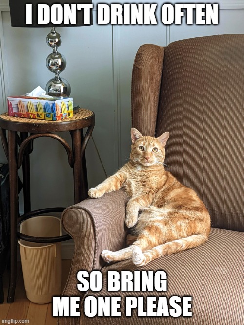 Cozy cat need a drink | I DON'T DRINK OFTEN; SO BRING ME ONE PLEASE | image tagged in cozy all ear cat | made w/ Imgflip meme maker