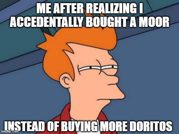 Futurama Fry | ME AFTER REALIZING I ACCEDENTALLY BOUGHT A MOOR; INSTEAD OF BUYING MORE DORITOS | image tagged in memes,futurama fry | made w/ Imgflip meme maker