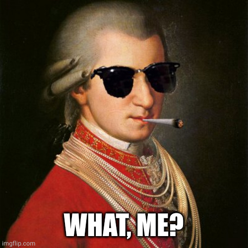 Mozart YOLO | WHAT, ME? | image tagged in mozart yolo | made w/ Imgflip meme maker