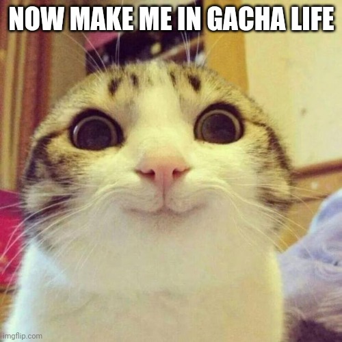 Smiling Cat Meme | NOW MAKE ME IN GACHA LIFE | image tagged in memes,smiling cat | made w/ Imgflip meme maker