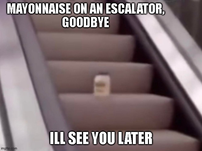 MAYONNAISE ON AN ESCALATOR | MAYONNAISE ON AN ESCALATOR,
GOODBYE; ILL SEE YOU LATER | image tagged in mayonnaise on an escalator | made w/ Imgflip meme maker