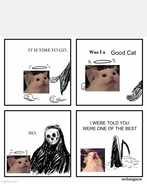 was i a good meme | Good Cat; I WERE TOLD YOU WERE ONE OF THE BEST | image tagged in was i a good meme | made w/ Imgflip meme maker