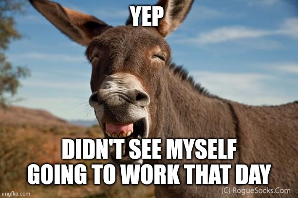 Donkey Jackass Braying | YEP DIDN'T SEE MYSELF GOING TO WORK THAT DAY | image tagged in donkey jackass braying | made w/ Imgflip meme maker