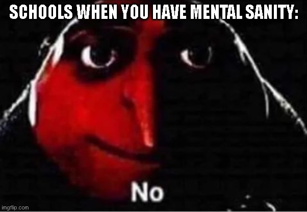 no | SCHOOLS WHEN YOU HAVE MENTAL SANITY: | image tagged in gru no | made w/ Imgflip meme maker