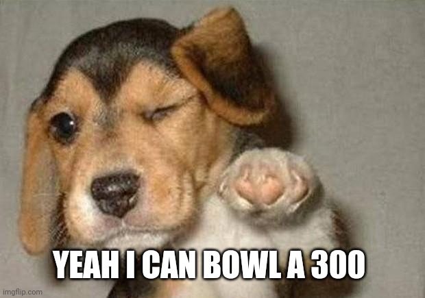 Winking Dog | YEAH I CAN BOWL A 300 | image tagged in winking dog | made w/ Imgflip meme maker