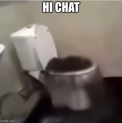 le idiot being summoned (static) | HI CHAT | image tagged in le idiot being summoned static | made w/ Imgflip meme maker