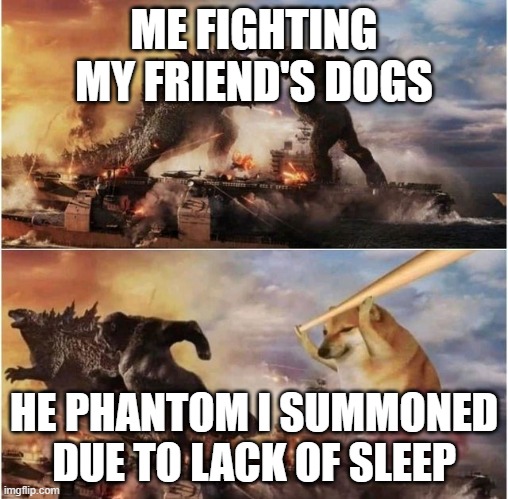 Godzilla vs Kong vs Cheems | ME FIGHTING MY FRIEND'S DOGS HE PHANTOM I SUMMONED DUE TO LACK OF SLEEP | image tagged in godzilla vs kong vs cheems | made w/ Imgflip meme maker