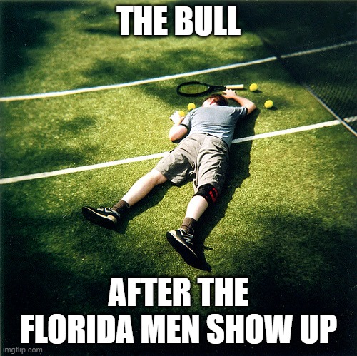 Tennis Defeat Meme | THE BULL AFTER THE FLORIDA MEN SHOW UP | image tagged in memes,tennis defeat | made w/ Imgflip meme maker