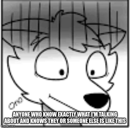 furry oh no | ANYONE WHO KNOW EXACTLY WHAT I'M TALKING ABOUT AND KNOWS THEY OR SOMEONE ELSE IS LIKE THIS | image tagged in furry oh no | made w/ Imgflip meme maker