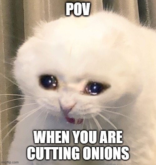 screaming crying cat | POV; WHEN YOU ARE CUTTING ONIONS | image tagged in screaming crying cat | made w/ Imgflip meme maker