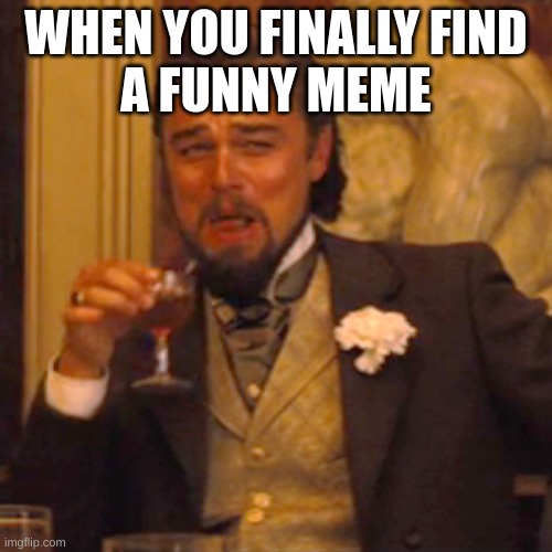 Laughing Leo | WHEN YOU FINALLY FIND
A FUNNY MEME | image tagged in memes,laughing leo | made w/ Imgflip meme maker