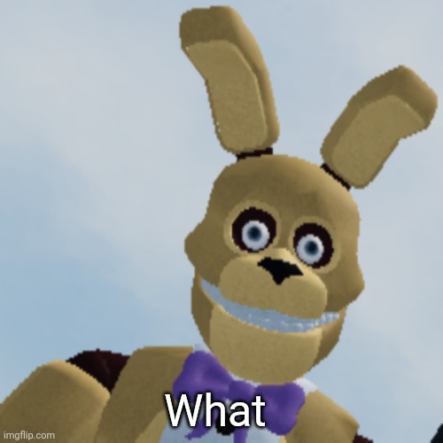 Spring Bonnie staring menacingly | What | image tagged in spring bonnie staring menacingly | made w/ Imgflip meme maker