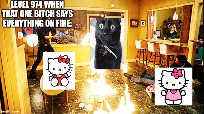 ;( | LEVEL 974 WHEN THAT ONE BITCH SAYS EVERYTHING ON FIRE: | image tagged in chaotic house | made w/ Imgflip meme maker