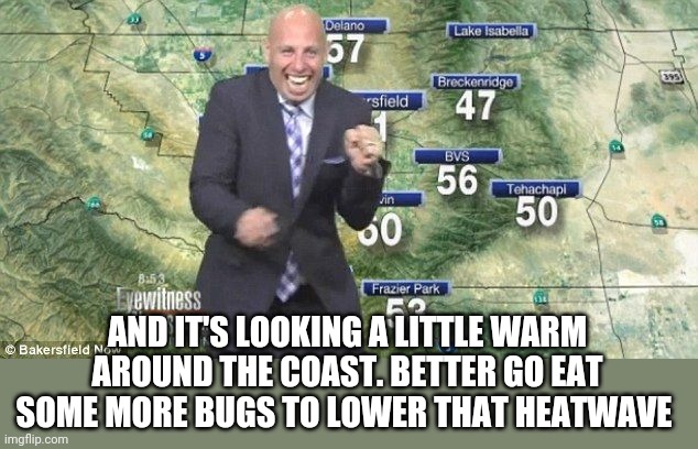 Eat ze bugs. Change ze weather! | AND IT'S LOOKING A LITTLE WARM AROUND THE COAST. BETTER GO EAT SOME MORE BUGS TO LOWER THAT HEATWAVE | image tagged in idiot weatherman | made w/ Imgflip meme maker