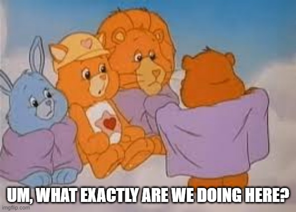 Super Care Bears? | UM, WHAT EXACTLY ARE WE DOING HERE? | image tagged in care bears | made w/ Imgflip meme maker