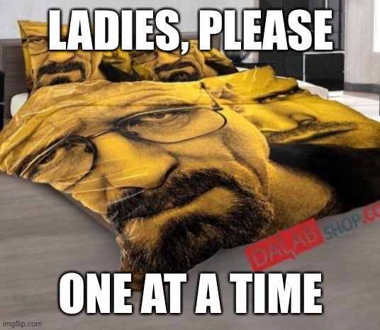 Breaking Bed | LADIES, PLEASE; ONE AT A TIME | image tagged in breaking bed | made w/ Imgflip meme maker