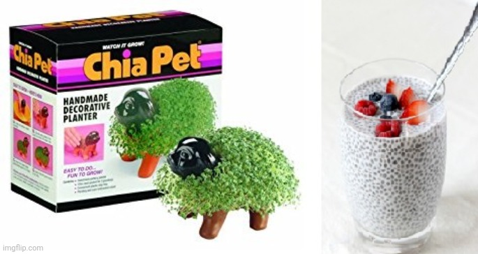 chia pet to chia seed | image tagged in chia pet to chia seed | made w/ Imgflip meme maker