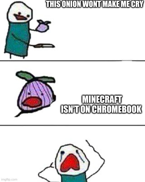 this onion won't make me cry | THIS ONION WONT MAKE ME CRY; MINECRAFT ISN'T ON CHROMEBOOK | image tagged in this onion won't make me cry | made w/ Imgflip meme maker