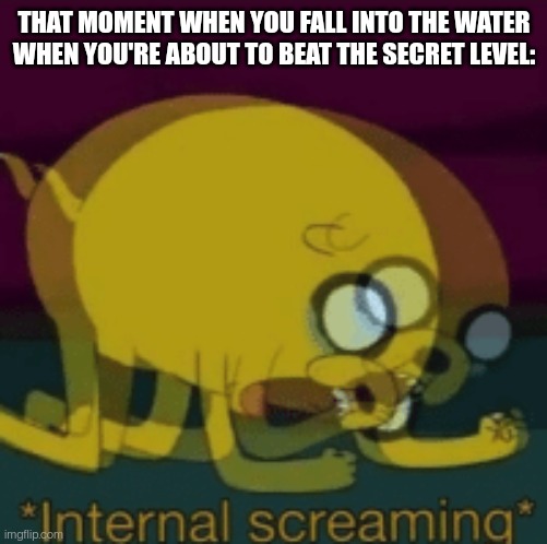 That level is pure pain | THAT MOMENT WHEN YOU FALL INTO THE WATER WHEN YOU'RE ABOUT TO BEAT THE SECRET LEVEL: | image tagged in jake the dog internal screaming | made w/ Imgflip meme maker