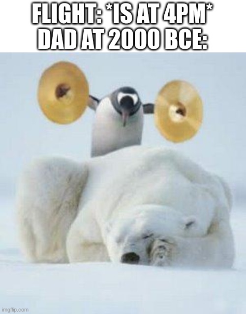 Flights vs. Dads | FLIGHT: *IS AT 4PM*
DAD AT 2000 BCE: | image tagged in wake up,dad,penguin,plane,flight,time | made w/ Imgflip meme maker
