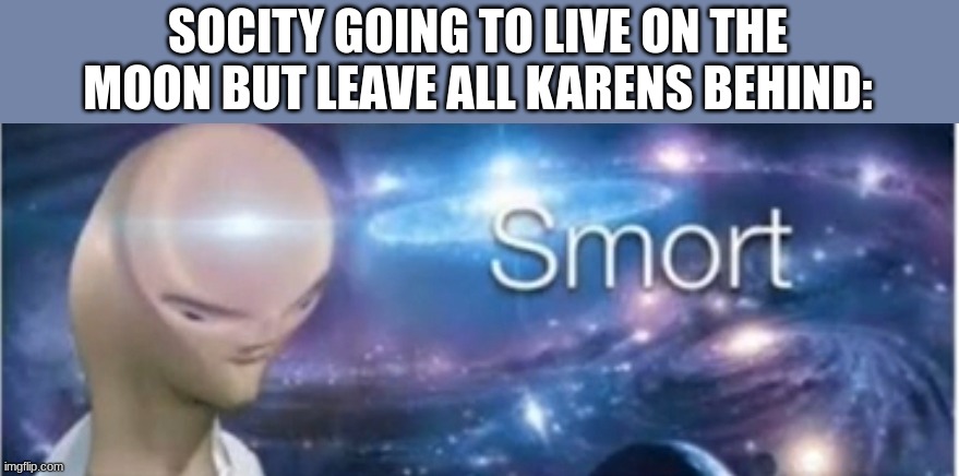 BIG BRAIN SMORT | SOCITY GOING TO LIVE ON THE MOON BUT LEAVE ALL KARENS BEHIND: | image tagged in meme man smort | made w/ Imgflip meme maker