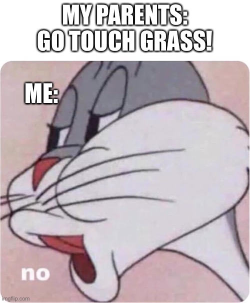 Bugs Bunny No | MY PARENTS: GO TOUCH GRASS! ME: | image tagged in bugs bunny no | made w/ Imgflip meme maker