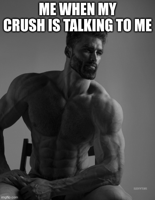 Giga Chad | ME WHEN MY CRUSH IS TALKING TO ME | image tagged in giga chad | made w/ Imgflip meme maker