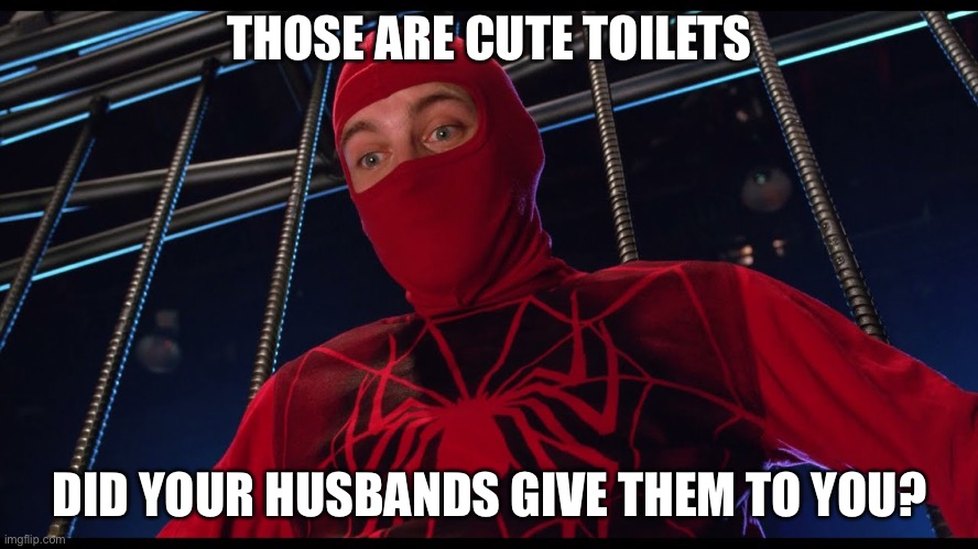 thats a cute outfit did your husband give it to you | THOSE ARE CUTE TOILETS DID YOUR HUSBANDS GIVE THEM TO YOU? | image tagged in thats a cute outfit did your husband give it to you | made w/ Imgflip meme maker