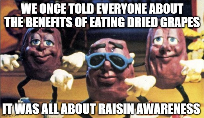 Raisins | WE ONCE TOLD EVERYONE ABOUT THE BENEFITS OF EATING DRIED GRAPES; IT WAS ALL ABOUT RAISIN AWARENESS | image tagged in california raisins | made w/ Imgflip meme maker