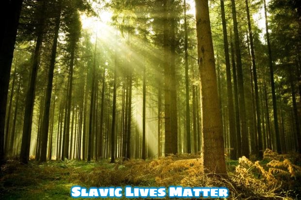 sunlit forest | Slavic Lives Matter | image tagged in sunlit forest,slavic | made w/ Imgflip meme maker