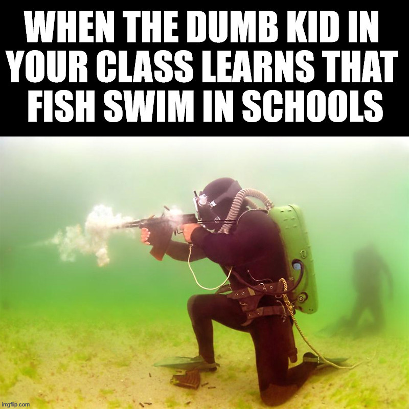image tagged in dumb,school shooting | made w/ Imgflip meme maker