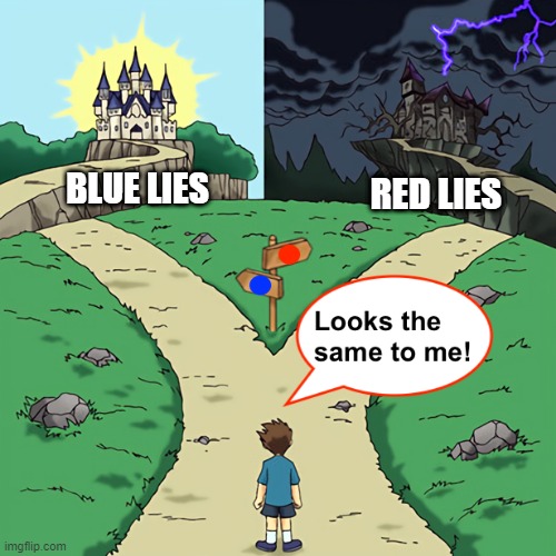 Ah, Wisdom | RED LIES; BLUE LIES | image tagged in politics | made w/ Imgflip meme maker