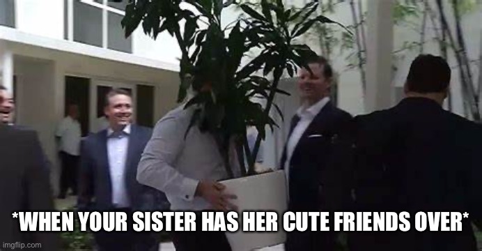 Spying On Sisters Friends |  *WHEN YOUR SISTER HAS HER CUTE FRIENDS OVER* | image tagged in plant disguise,sister,sisters friends,brother,spying | made w/ Imgflip meme maker