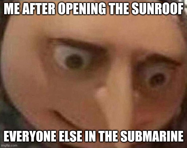 oof |  ME AFTER OPENING THE SUNROOF; EVERYONE ELSE IN THE SUBMARINE | image tagged in gru meme | made w/ Imgflip meme maker