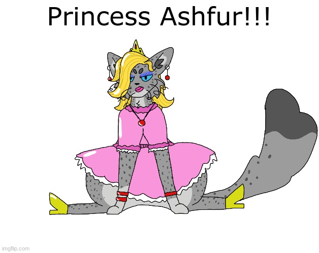 princess ashfur | Princess Ashfur!!! | made w/ Imgflip meme maker