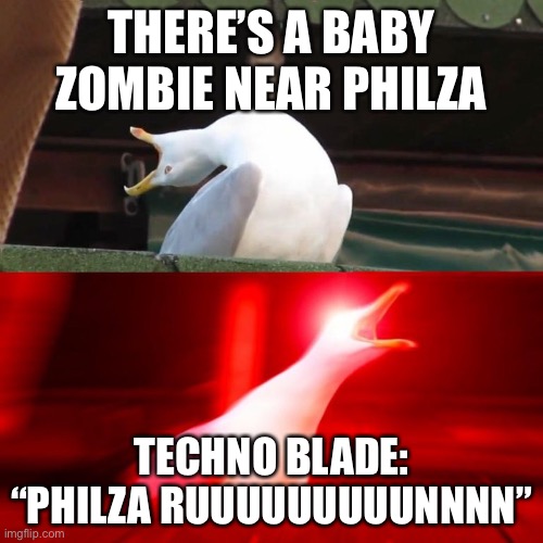 Uh oh | THERE’S A BABY ZOMBIE NEAR PHILZA; TECHNO BLADE: “PHILZA RUUUUUUUUUNNNN” | image tagged in boy seagull | made w/ Imgflip meme maker