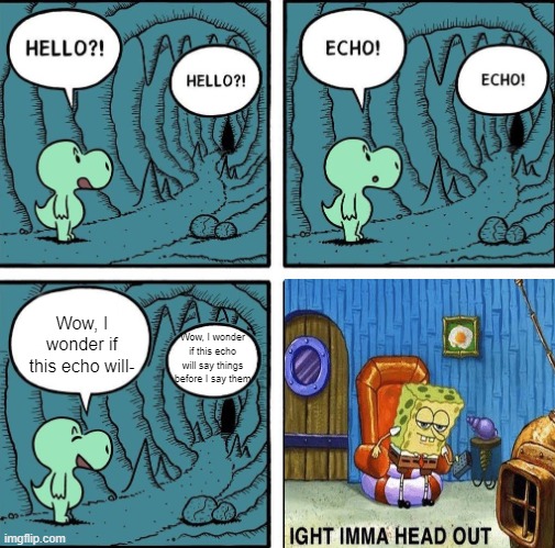 echo | Wow, I wonder if this echo will-; Wow, I wonder if this echo will say things before I say them | image tagged in echo,smgs r da best | made w/ Imgflip meme maker