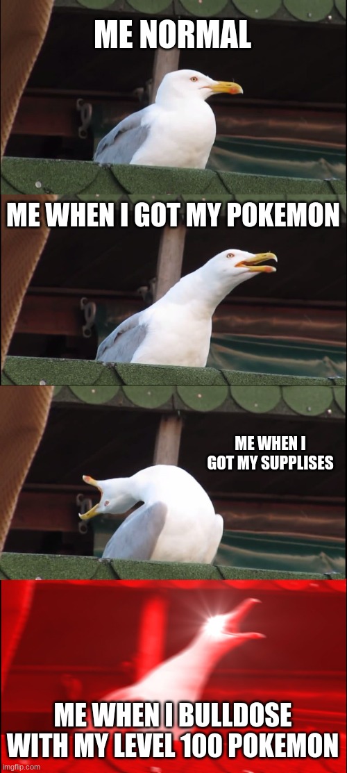me, also me | ME NORMAL; ME WHEN I GOT MY POKEMON; ME WHEN I GOT MY SUPPLISES; ME WHEN I BULLDOSE WITH MY LEVEL 100 POKEMON | image tagged in memes,inhaling seagull | made w/ Imgflip meme maker