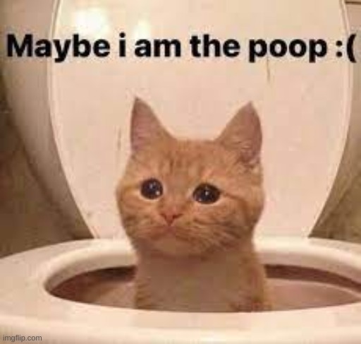 maybe i am the poop | image tagged in maybe i am the poop | made w/ Imgflip meme maker