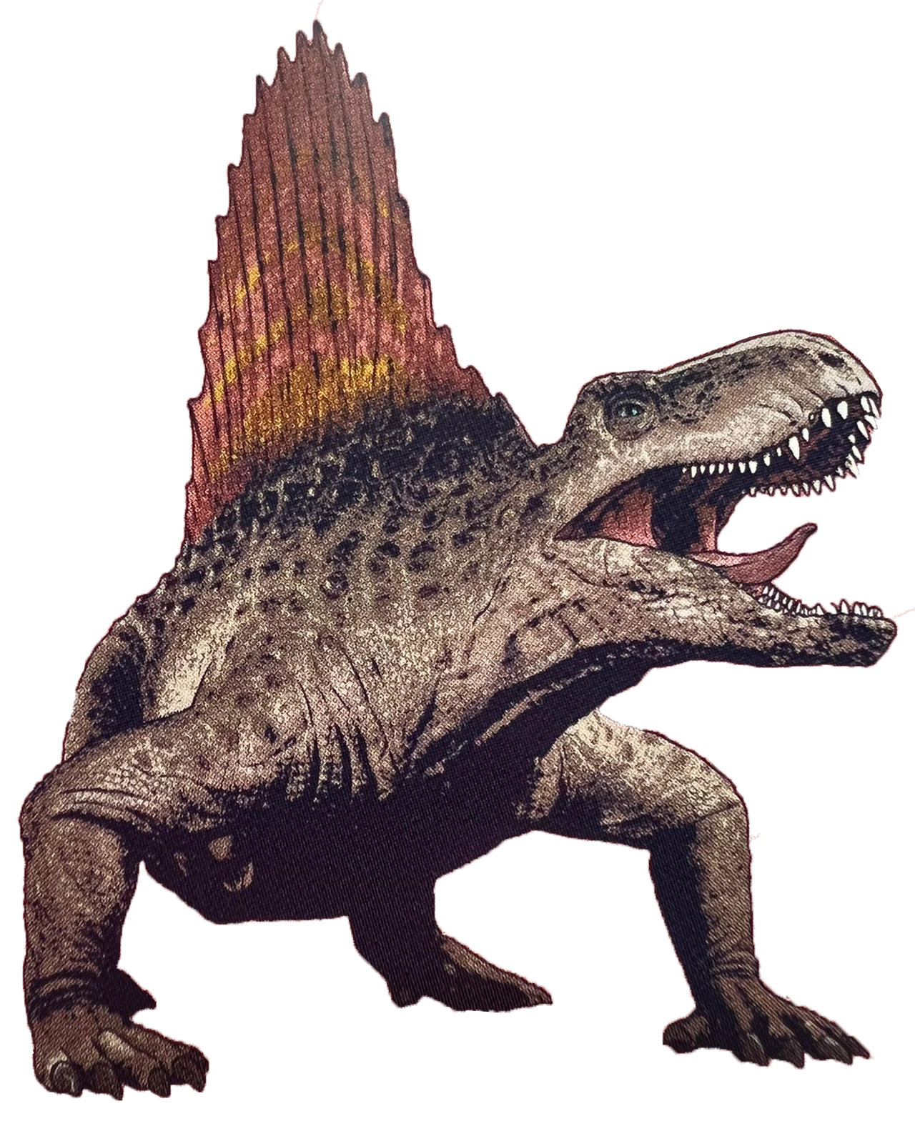 Dimetrodon 2 (JWD Design) Blank Meme Template